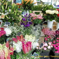 Flower stall
